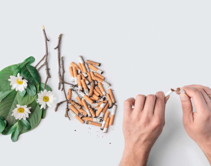 Poumon figuratif avec un coté formé de plantes et l'autres de cigarettes et une personne cassant une cigarette