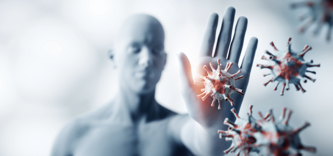 Effet du tabac sur le système immunitaire